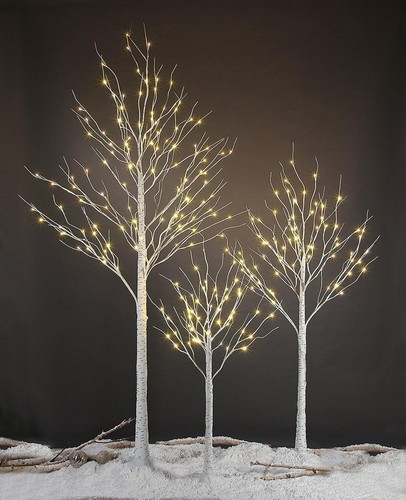 Christmas birch tree pre - birch,