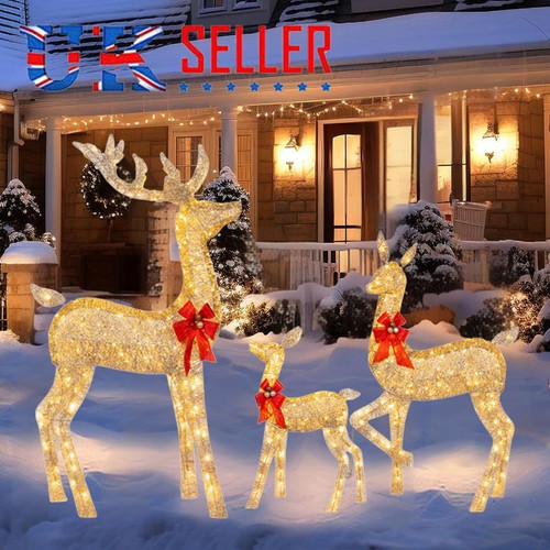 Set christmas reindeer - of, 3