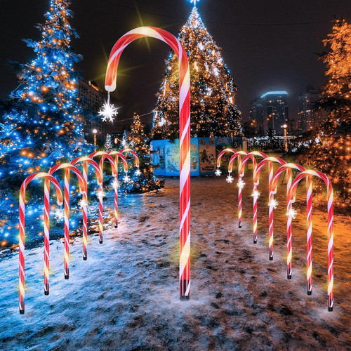 Packs christmas candy cane - 12,